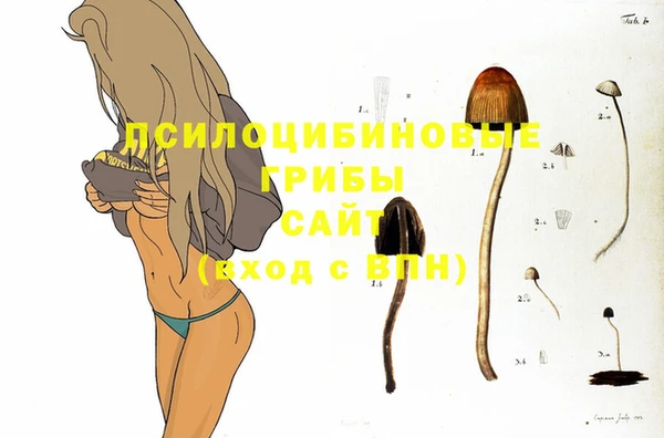 мескалин Белокуриха