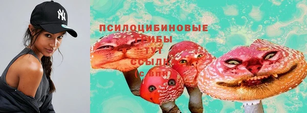 мескалин Белокуриха