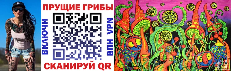 купить закладку  Верещагино  Псилоцибиновые грибы MAGIC MUSHROOMS 